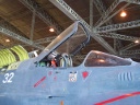 crusader